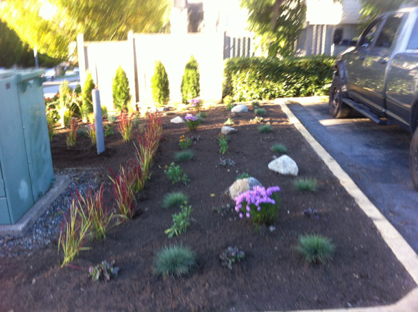 Commercial-Landscaping1