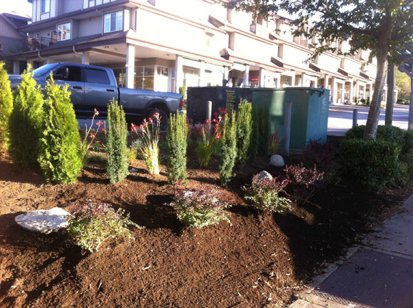 Commercial-Landscaping