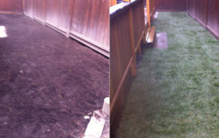 Lawn Renovation